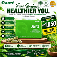 Santé Barley Pure 60 Capsules | Barley Grass Powder - Pure Barley Online Shop